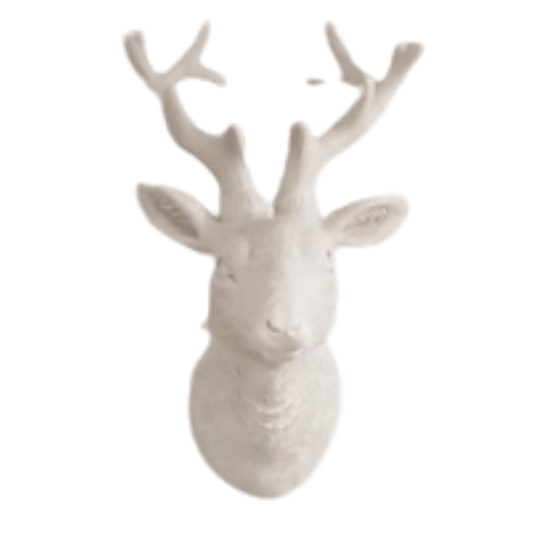 Design ohne Titel - 2022-02-28T101929.944